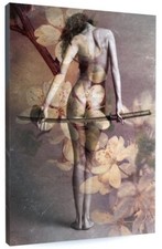 STUNNING ABSTRACT NUDE SAMURAI