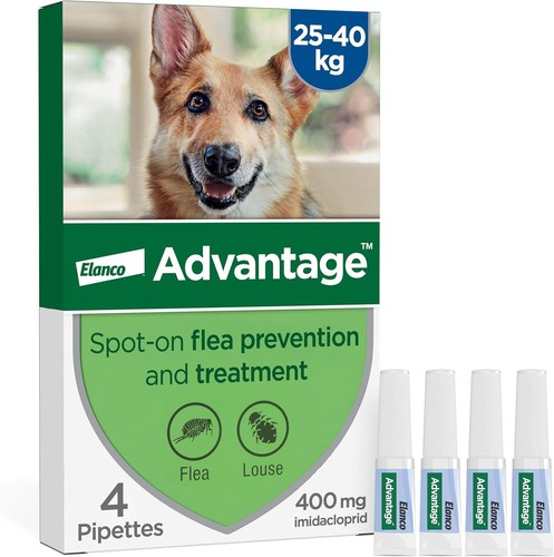 Spot flea treatment - treatment, for