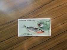 Hignett Bros 1925 Life in Pond & Stream #23 Three Spined Sticklebacks