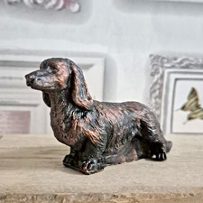 Long hair dachshund - hair, dog