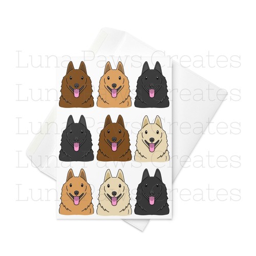 Schipperke card - card,,