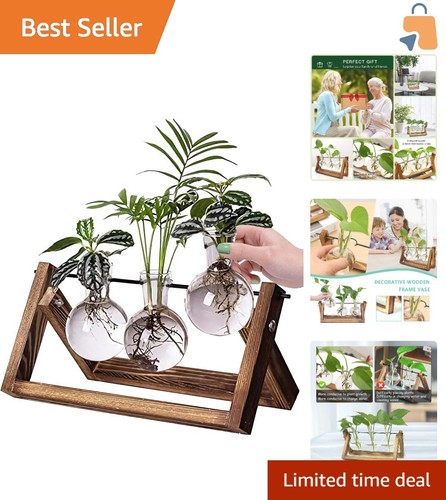 Retro desktop glass planter - glass,