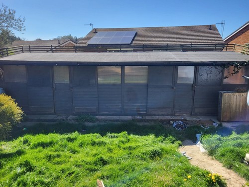 Large pigeon loft - pigeon,