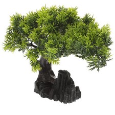  Aquarium Accessories Tropical