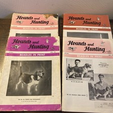 Hounds and Hunting Beagles in