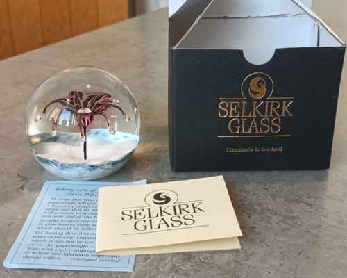 Vintage selkirk glass - vintage,