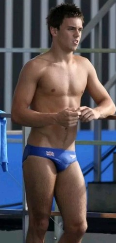 Tom daley speedo team - tom,
