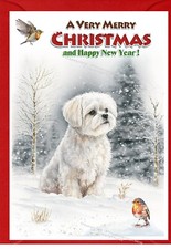 Maltese Dog A6 (4"x 6")