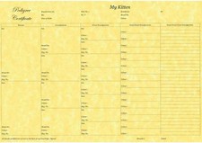 5 Generation Pedigree form