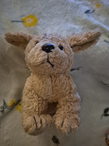 Beige fluffy dog - beige, plush