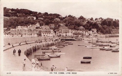 Vintage rppc postcard lyme - vintage,