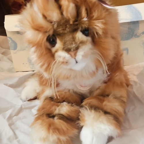 Steiff mizzy maine - maine, cat