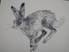 Original hand drawn pen & ink