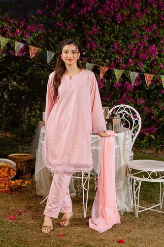 Chikankari embroidered pc - chikankari,