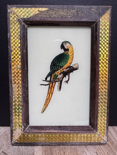 Indian parrot vintage reverse - indian,