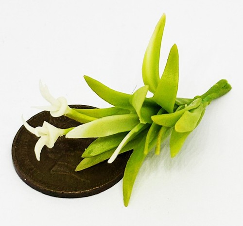 Dolls house green - green, single