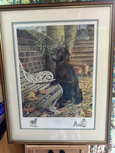 Framed mounted limited edition - framed,