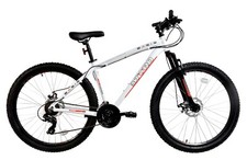 Basis El Toro Mountain Bike