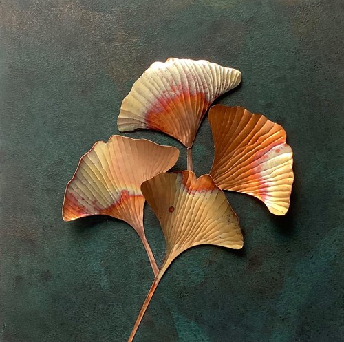 Copper ginkgo leaves wall - copper,