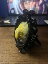 Taxidermy Canary Head In Frame