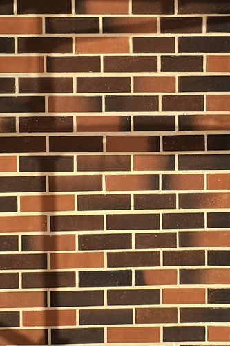 Brickslips flexible elastic - brickslips,