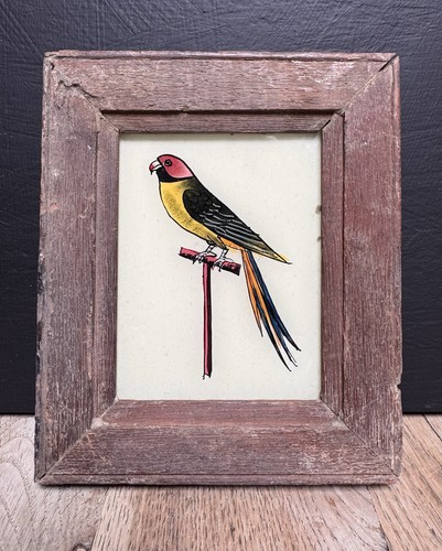 Indian parrot vintage reverse - parrot,