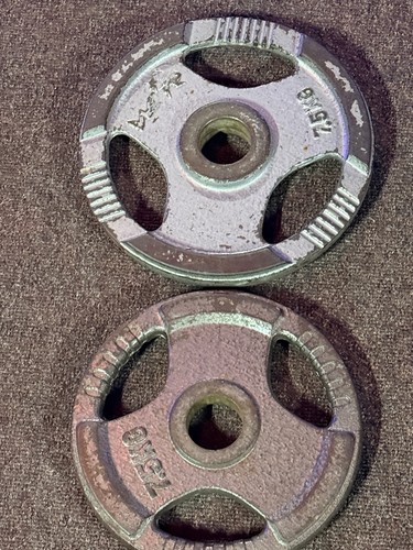 5kg olympic plate - olympic,
