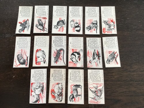 Pets cards from the typhoo - from,