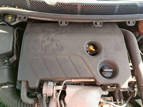 D16sht petrol engine - petrol,