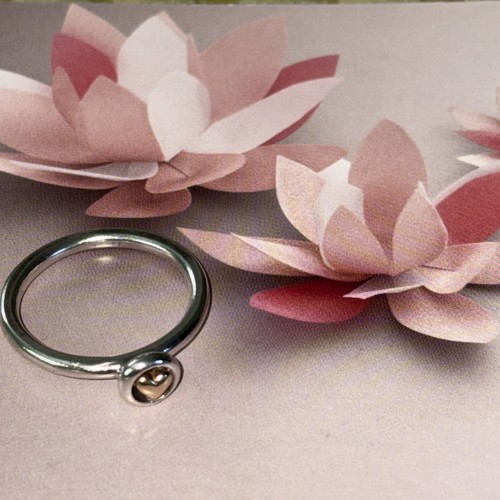 Genuine pandora sterling - genuine,