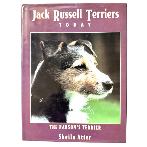 Jack russell terriers today - jack,