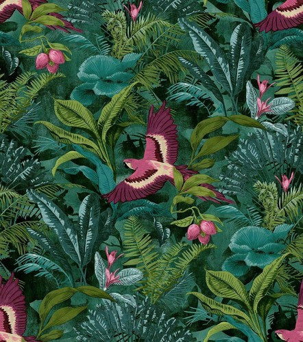 Rasch tropical rainforest - tropical,