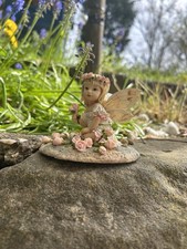The leonardo collection baby - the,