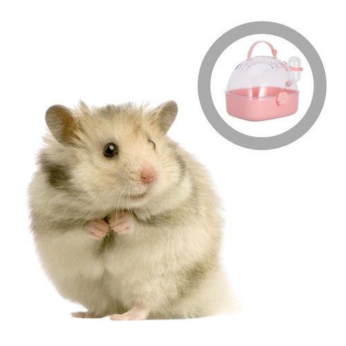 Portable hamster travel - portable,
