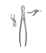 Dentist dental extracting - dental,