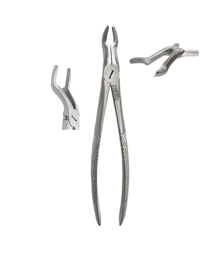 Dentist dental extracting - dentist,