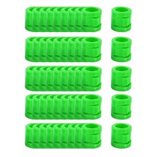 50 Pieces 0.35inch Race Pigeon