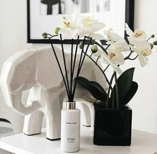 FM Reed Diffuser Pure Home