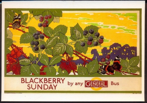 Modern postcard blackberry - modern,