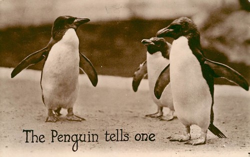 The penguin tells one - -, comedy