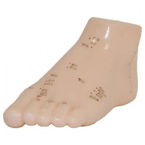 Human foot acupuncture model - acupuncture,