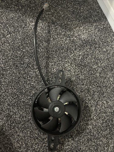 Lexmoto lxr 125 - 125, fan