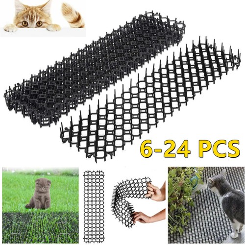 24pcs cat scat - 6-24pcs,