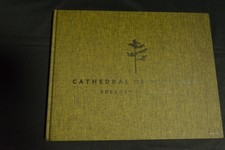Gregory Crewdson Cathedral of