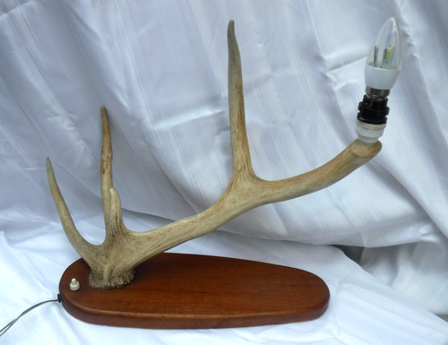 Vintage deer antler horn - vintage,