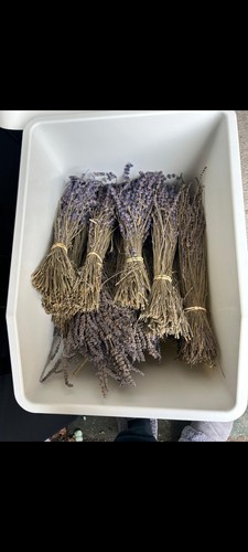 Dried flowers and - dried,