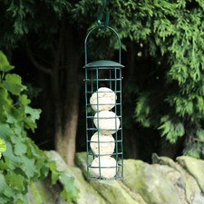 Natures Market 8 Inch Wild