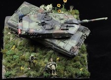 Pro Built Diorama Leopard 2