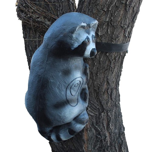 Khampa raccoon archery - raccoon,