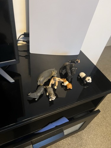 Schleich animal bundle - animal,
